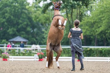 Bild 163 - Pony Akademie Turnier